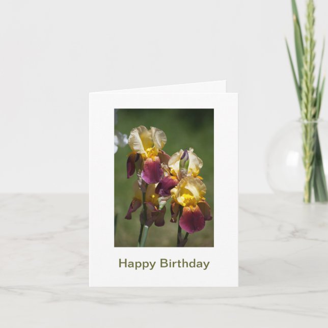 Herzlichen Glückwunsch zum Geburtstag einer schöne Karte (Vorderseite)