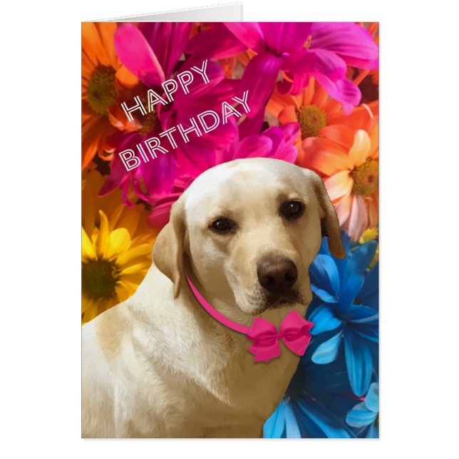 Herzlichen Glückwunsch zum Geburtstag, Haustier, H (Vorne)