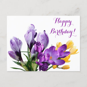 Herzlichen Glückwunsch zum Geburtstag hübsch lila  Postkarte