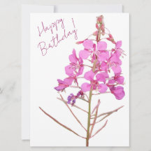 Herzlichen Glückwunsch zum Geburtstag hübsch rosa 