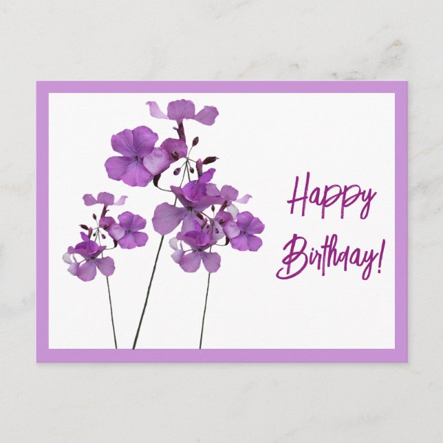 Herzlichen Glückwunsch zum Geburtstag hübsche lila Postkarte (Vorderseite)