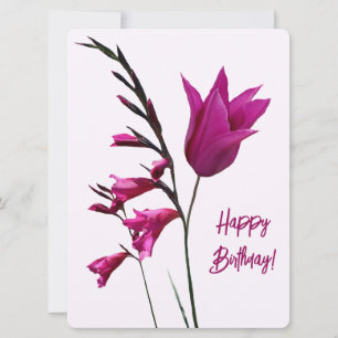 Herzlichen Glückwunsch zum Geburtstag hübsche pink Feiertagskarte