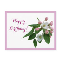 Herzlichen Glückwunsch zum Geburtstag hübsche rosa