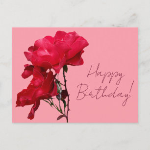 Herzlichen Glückwunsch zum Geburtstag hübsche rote Postkarte