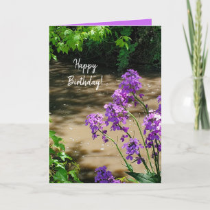 Herzlichen Glückwunsch zum Geburtstag Hübsche viol Feiertagskarte