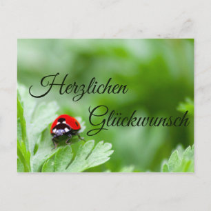 Herzlichen Glückwunsch zum Geburtstag Postkarte