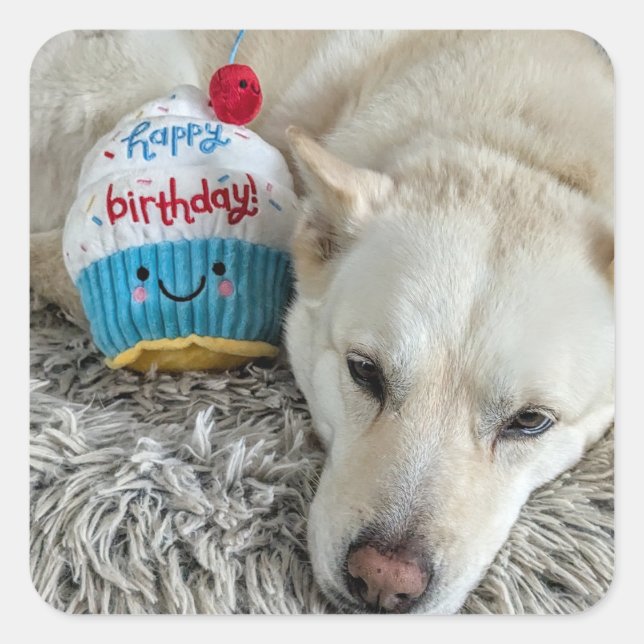 Herzlichen Glückwunsch zum Geburtstag. Quadratischer Aufkleber (Vorderseite)