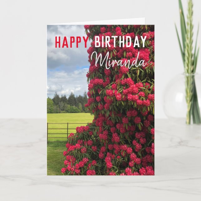 Herzlichen Glückwunsch zum Geburtstag - Rhododendr Karte (Vorderseite)