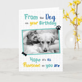 Herzlichen Glückwunsch zum Geburtstag vom Hund Karte