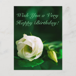 Herzlichen Glückwunsch zum Geburtstag, weiße Rose  Postkarte