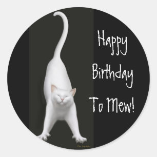 Herzlichen Glückwunsch zum Geburtstag zum Mew Cat  Runder Aufkleber