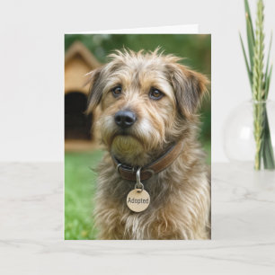 Herzlichen Glückwunsch zum neuen Hund Karte