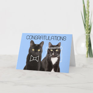 Herzlichen Glückwunsch zur Hochzeit süßes Katzenpa Karte