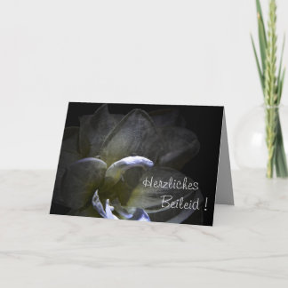 Herzliches Beileid! Amaryllis Blüte ... Karte