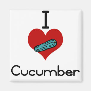 HerzLiebe I Gurke Magnet