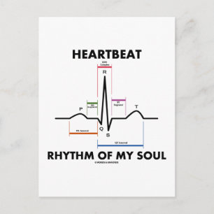 Herzrhythmus meines Souls (EKG/EKG) Postkarte
