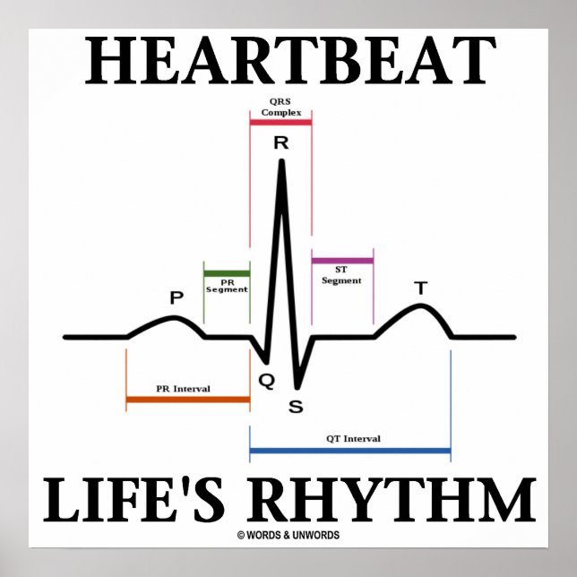 Herzrhythmusstörungen des Herzschlags (EKG/EKG-Her Poster (Vorne)