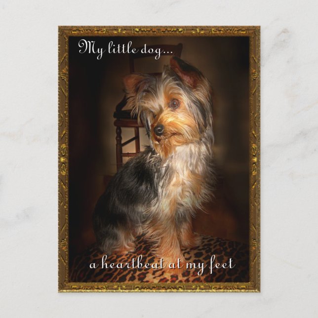 Herzschlag an meinen Füßen Postkarte (Vorderseite)