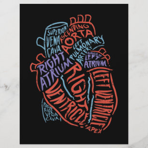 Herzspezialist Anatomie Doktor Medizinische Biolog Briefbogen