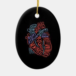 Herzspezialist Anatomie Doktor Medizinische Biolog Keramik Ornament