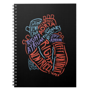 Herzspezialist Anatomie Doktor Medizinische Biolog Notizblock