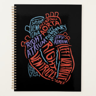 Herzspezialist Anatomie Doktor Medizinische Biolog Planer