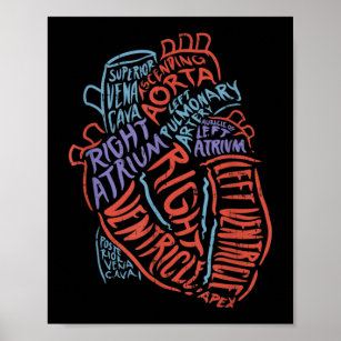 Herzspezialist Anatomie Doktor Medizinische Biolog Poster