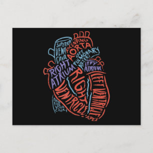 Herzspezialist Anatomie Doktor Medizinische Biolog Postkarte