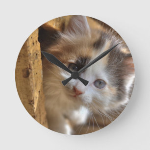Heterochromia Calico Kitten Runde Wanduhr