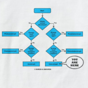 Heterotroph-Flussdiagramm Sie Sind Hier Biologie H T-Shirt