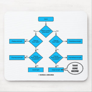 Heterotrophe Flussdiagramm - Sie sind hier Mousepad