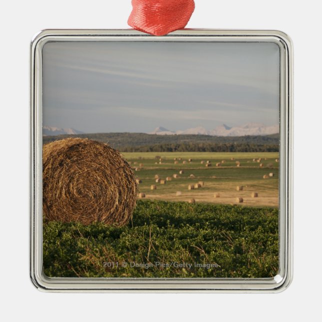 Heu-Ballen auf einem Gebiet mit Bergen am Silbernes Ornament (Vorne)