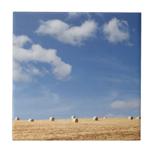 Heu-Ballen auf Feld Fliese