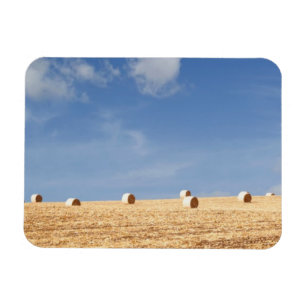 Heu-Ballen auf Feld Magnet