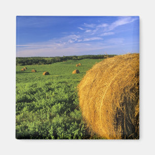 Heu-Ballen nähern sich Bottineau North Dakota Magnet