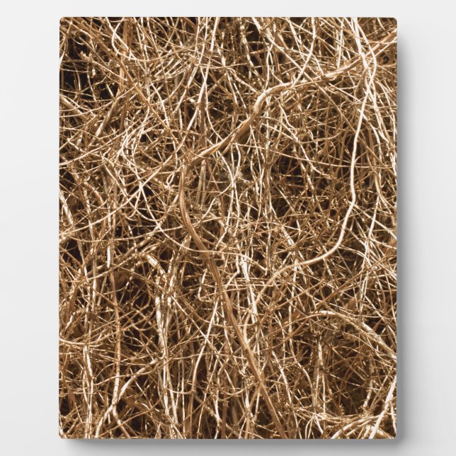 Heu Fotoplatte (Vorderseite)