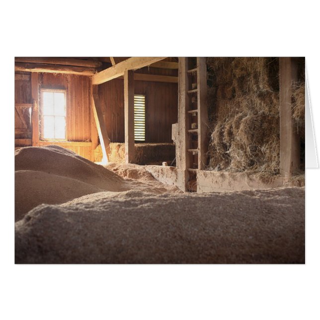 Heu-Scheune gefüllt mit Sun (Vorderseite (Horizontal))