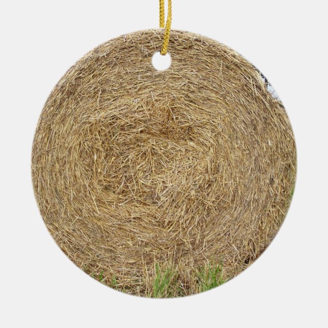 Heuballen auf einem Gebiet Keramik Ornament (Vorne)