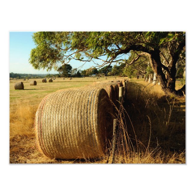 Heuballen auf landwirtschaftlichen Flächen Fotodruck (Vorne)
