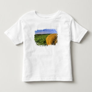 Heuballen in der Nähe von Bottineau North Dakota Kleinkind T-shirt