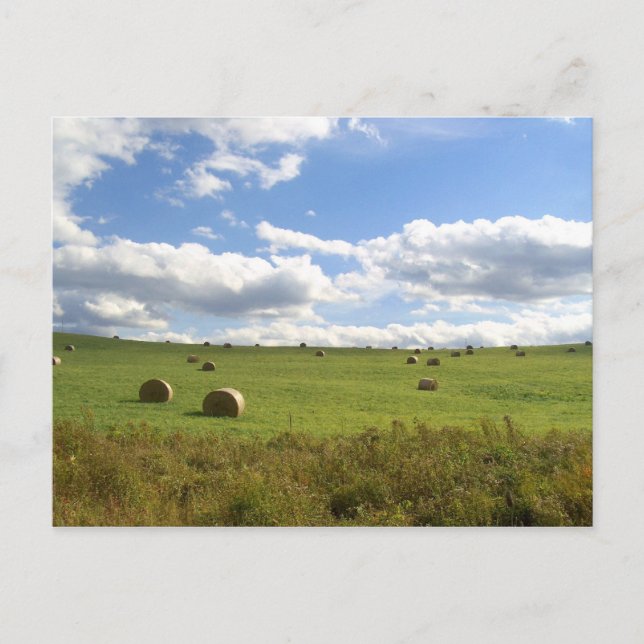 Heuballen Postkarte (Vorderseite)