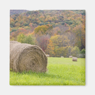 Heuballen und -Herbstlaub auf Bauernhof, Magnet