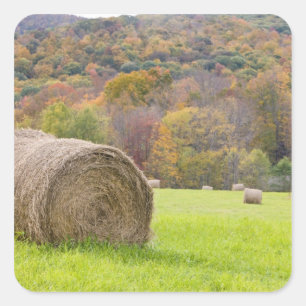 Heuballen und -Herbstlaub auf Bauernhof, Quadratischer Aufkleber