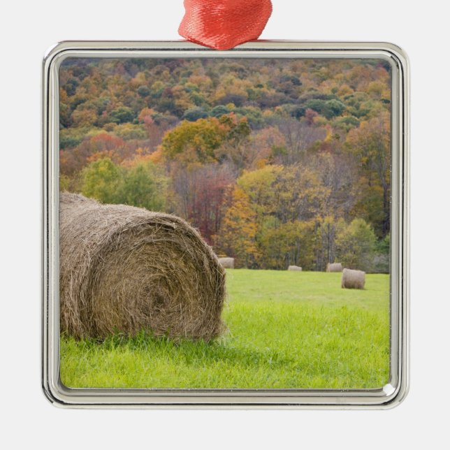Heuballen und -Herbstlaub auf Bauernhof, Silbernes Ornament (Vorne)