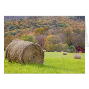 Heuballen und Herbstlaub auf dem Bauernhof,