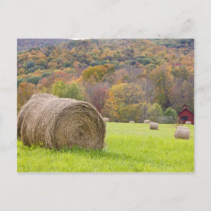 Heuballen und Herbstlaub auf dem Bauernhof, Postkarte