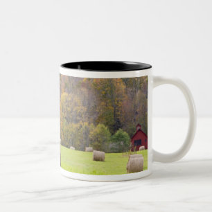 Heuballen und Herbstlaub auf dem Bauernhof, Zweifarbige Tasse