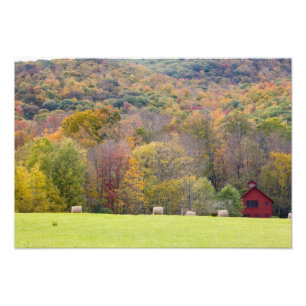 Heuballen und Herbstlaub auf einer Farm in Fotodruck