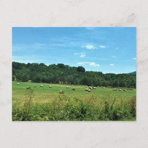 Heuballen, Wytheville, Virginia Postkarte