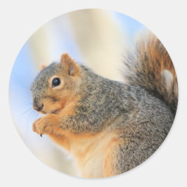 Heufurball Runder Aufkleber